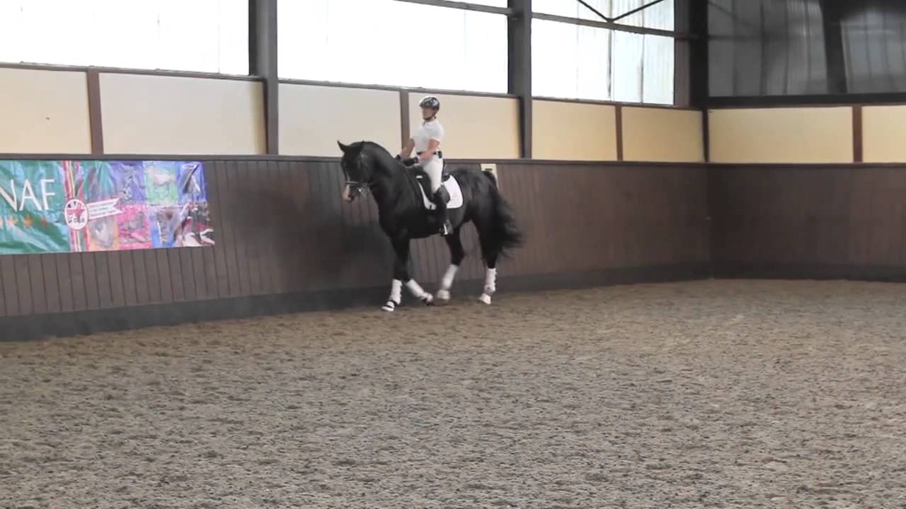 Canter -simple changes