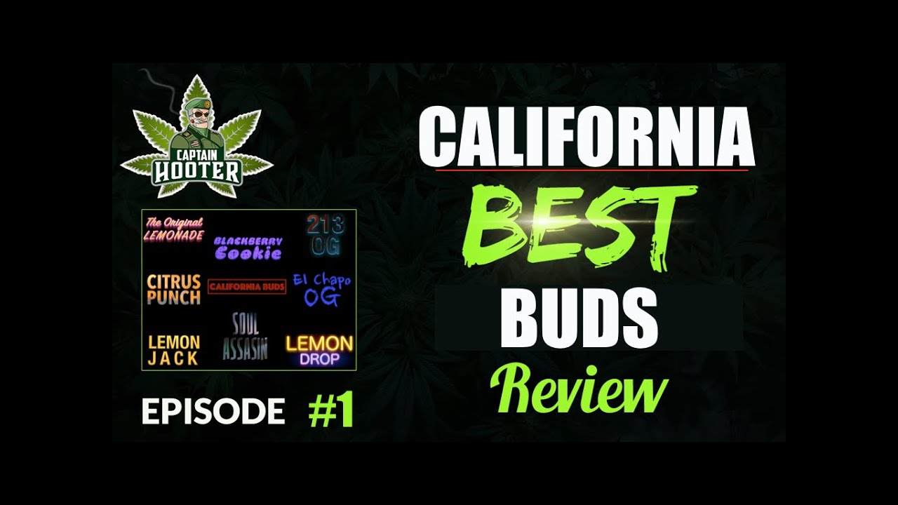 CALIFORNIA Best Buds Review #1 [Bud Report by Captain Hooter]