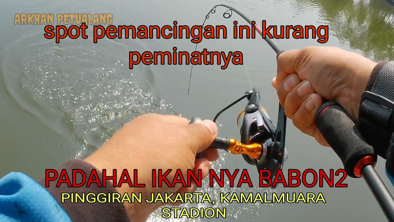 pemancingn bandeng kamal muara  tempatnya  surga para pemancing, sekaligus berwisata