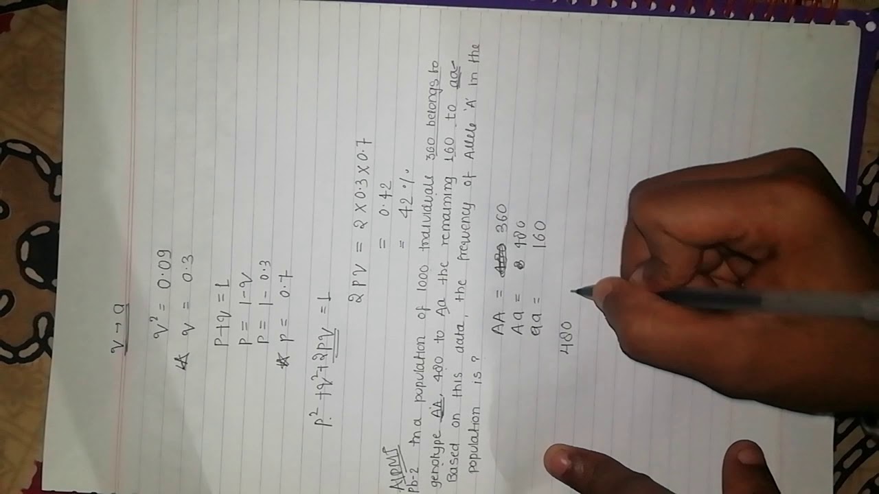 Hardy weinberg concept and question practice.. For neet aiims and jiipmer