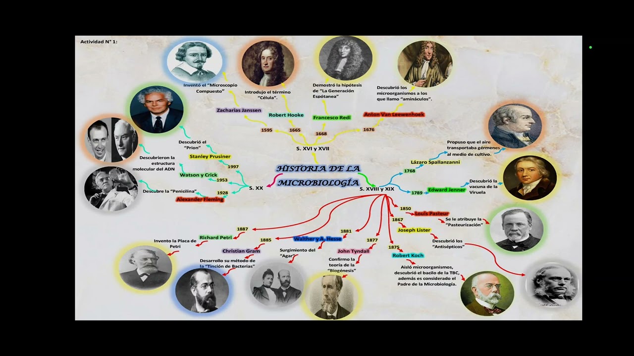 INTRODUCCION A LA MICROBIOLOGIA