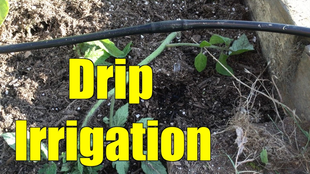 Garden and Drip Irrigation Installation