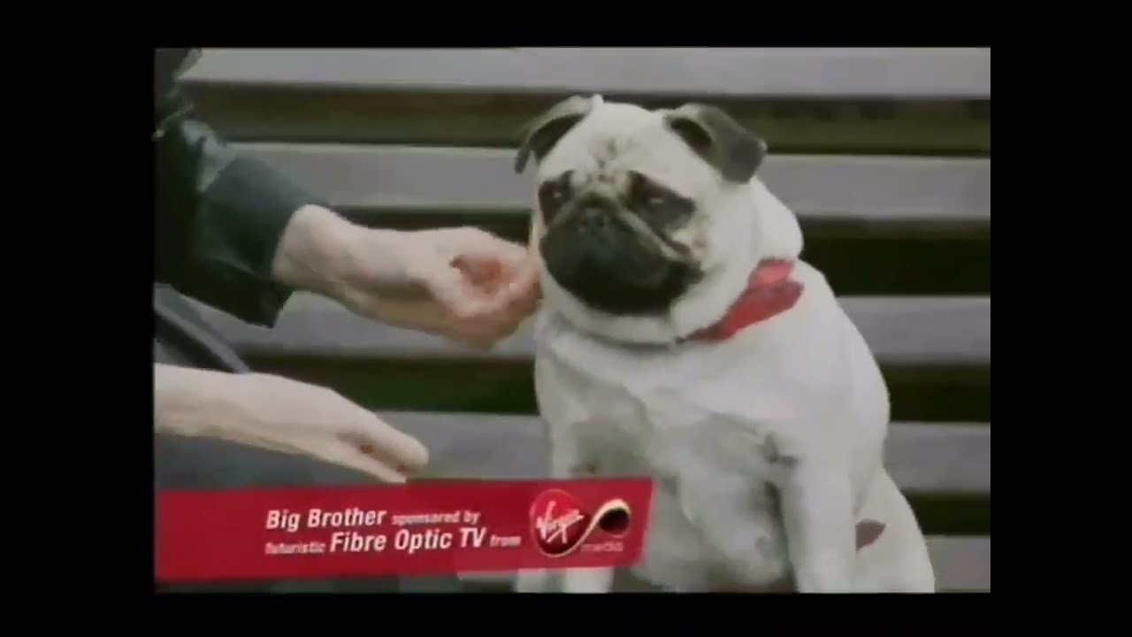 Virgin - Big Brother Sponsorship (Summer 2008)