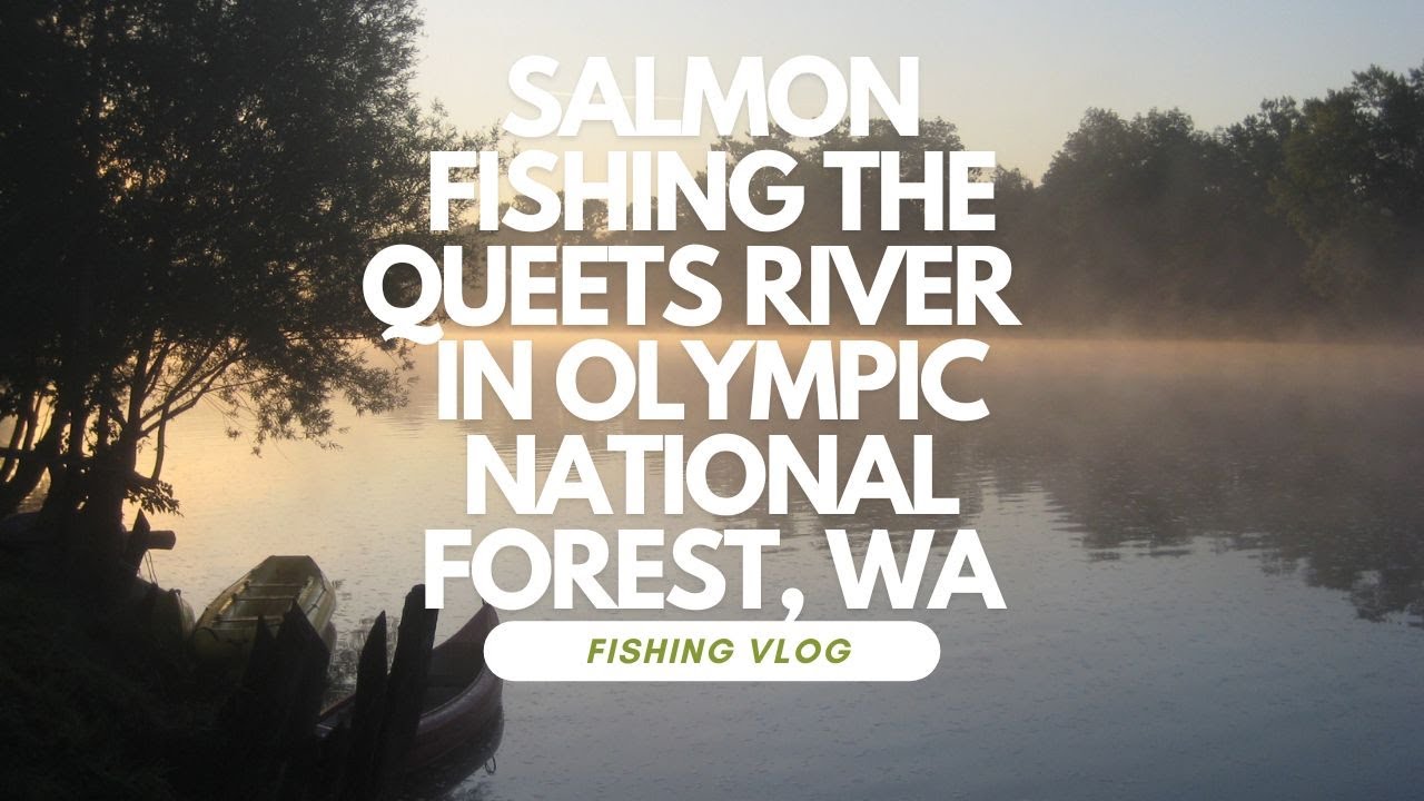 Salmon fishing Queets River in the Olympic National Forest, WA #kingsalmon #salmon #fishing