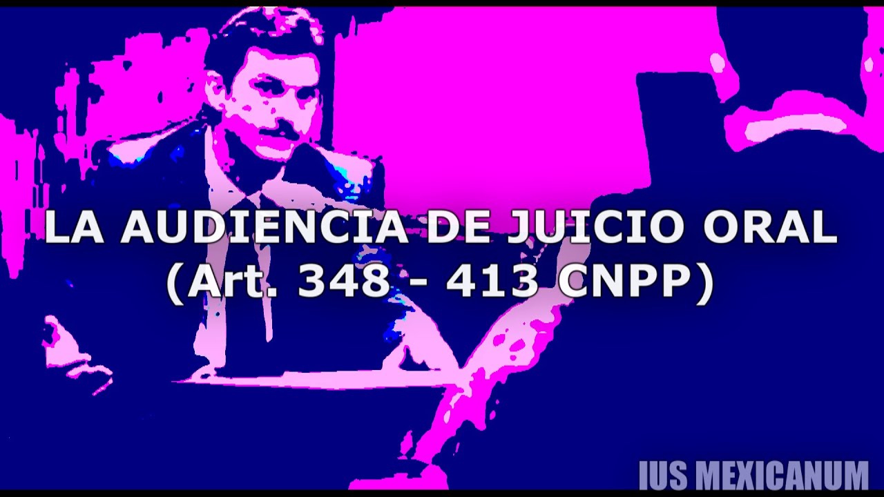 LA AUDIENCIA DE JUICIO ORAL | SISTEMA PENAL ACUSATORIO