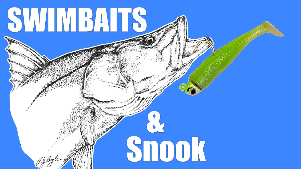 HOW TO USE SWIM BAITS FOR LARGE SNOOK