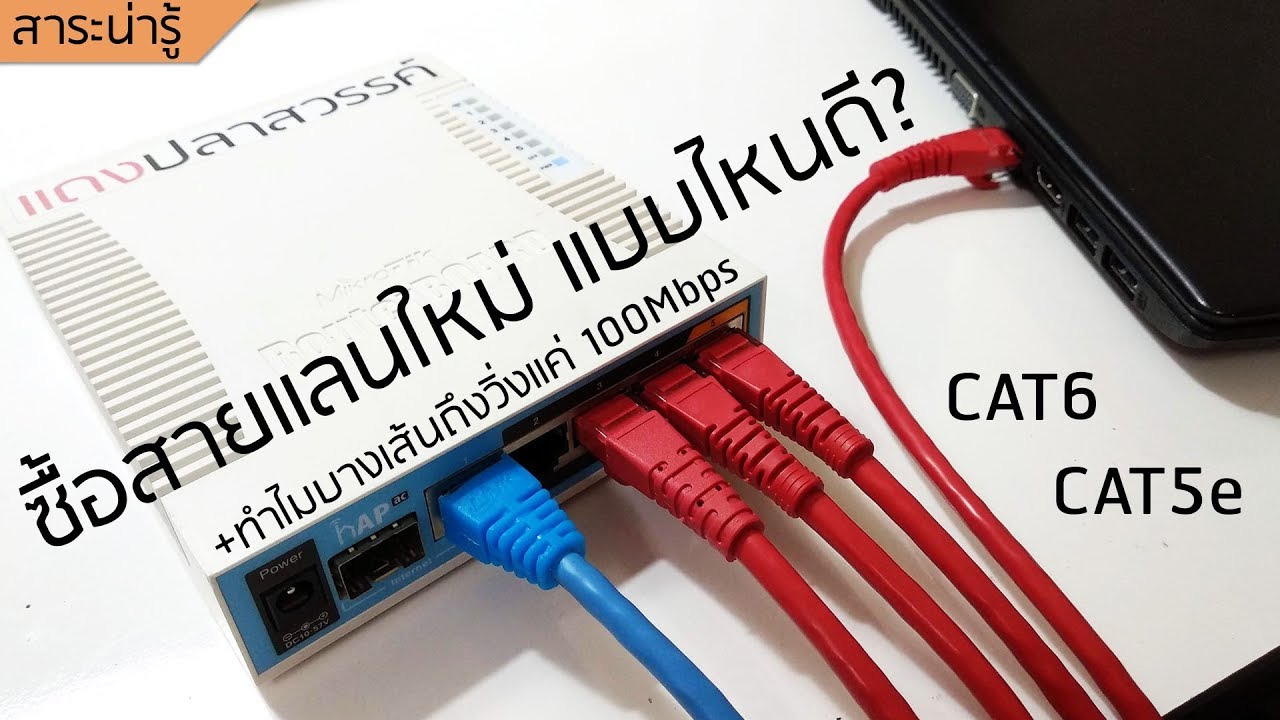 ซื้อสายแลนใหม่ แบบไหนดี? - ปลาสวรรค์ #186