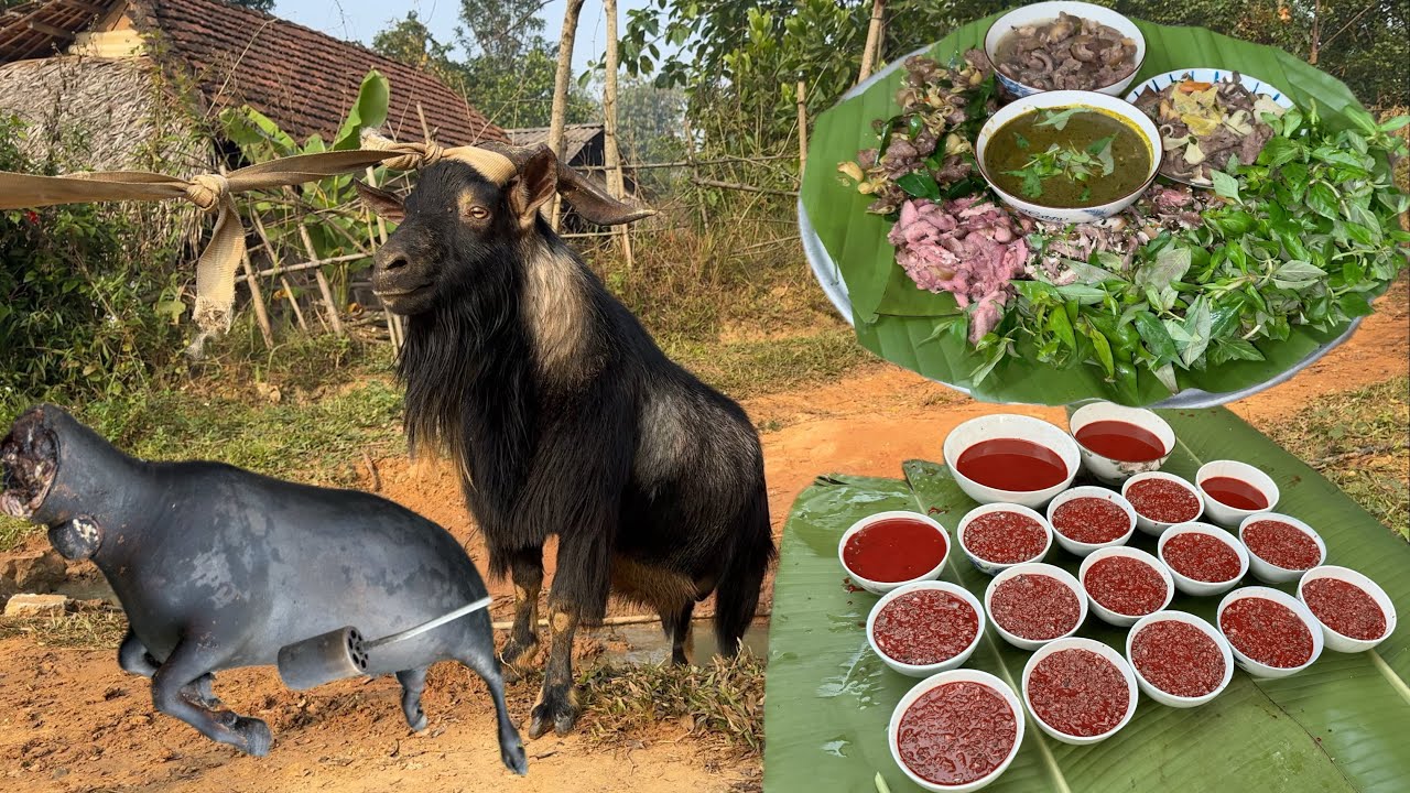 D&ecirc; Cụ 7 M&oacute;n, Si&ecirc;u Phẩm Tiết Canh D&ecirc; &Uacute;p B&aacute;t | Nguy&ecirc;n TM