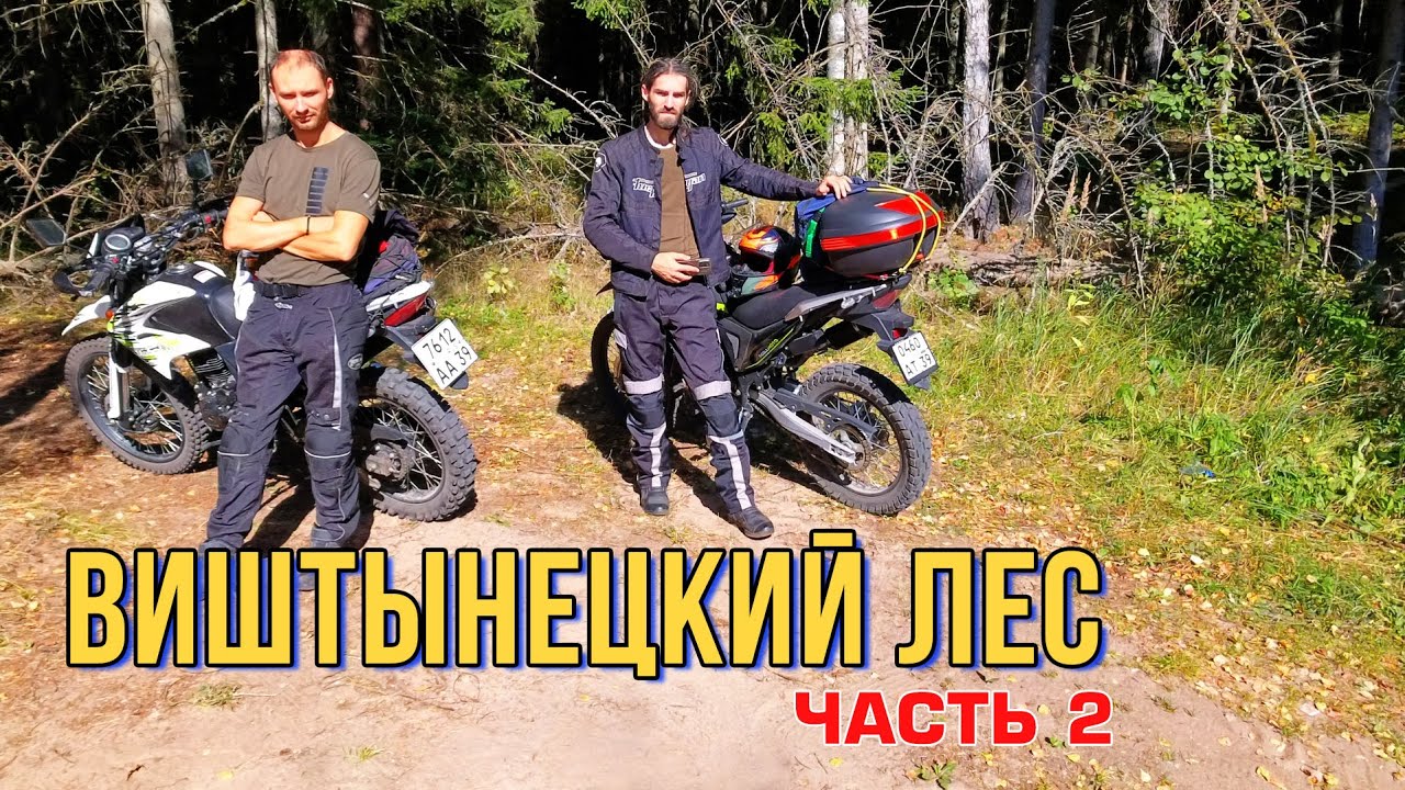 На мотоциклах в Виштынецкий лес из Калининграда. Катаемся по лесу. Часть 2