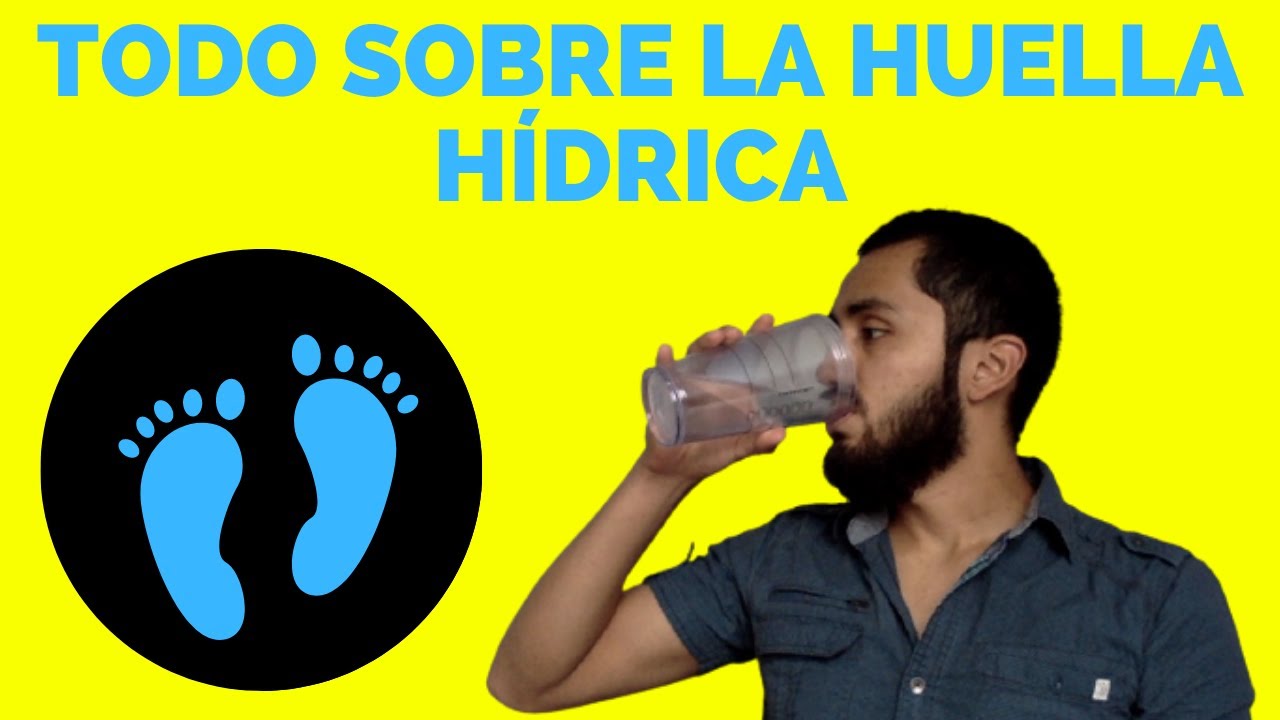 ¿Qué el la HUELLA HÍDRICA azul🔵, verde🟢 y gris⚪️ (diferencia)? - 💧HUELLA DE AGUA💧 [iso 14046]