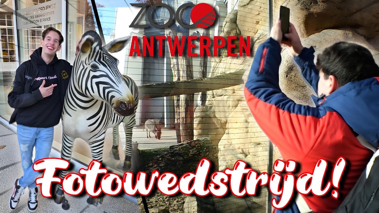 FOTOCHALLENGE in ANTWERPEN ZOO! 📸