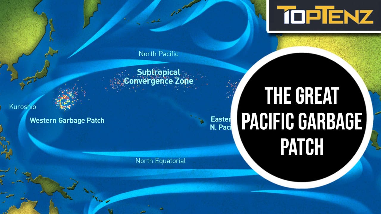 10 Amazing Things Found in the Ocean