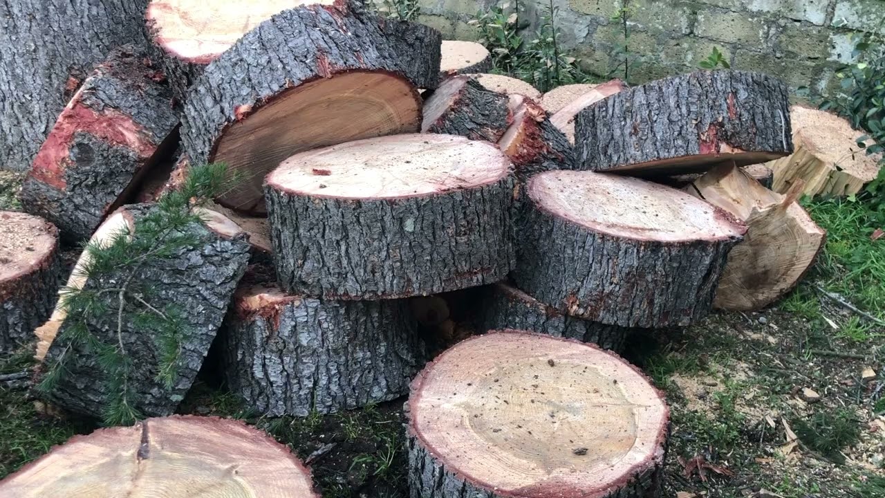 Abbattimento cedro libanese   HD 1080p