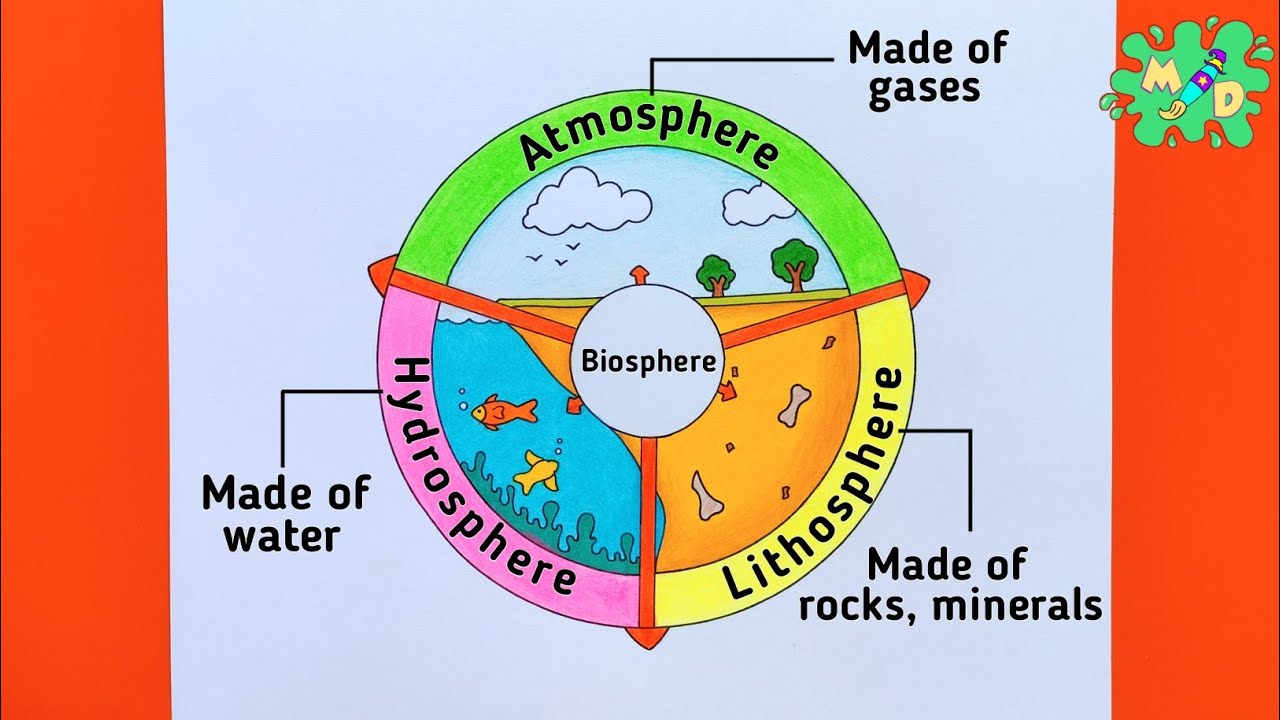 Biosphere Drawing | How to Draw the Biosphere Diagram - A Complete Guide to Earth's Spheres