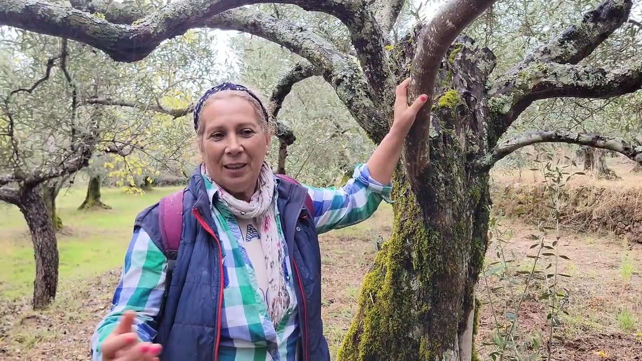 He VENDIDO la finca OKUPADA!
