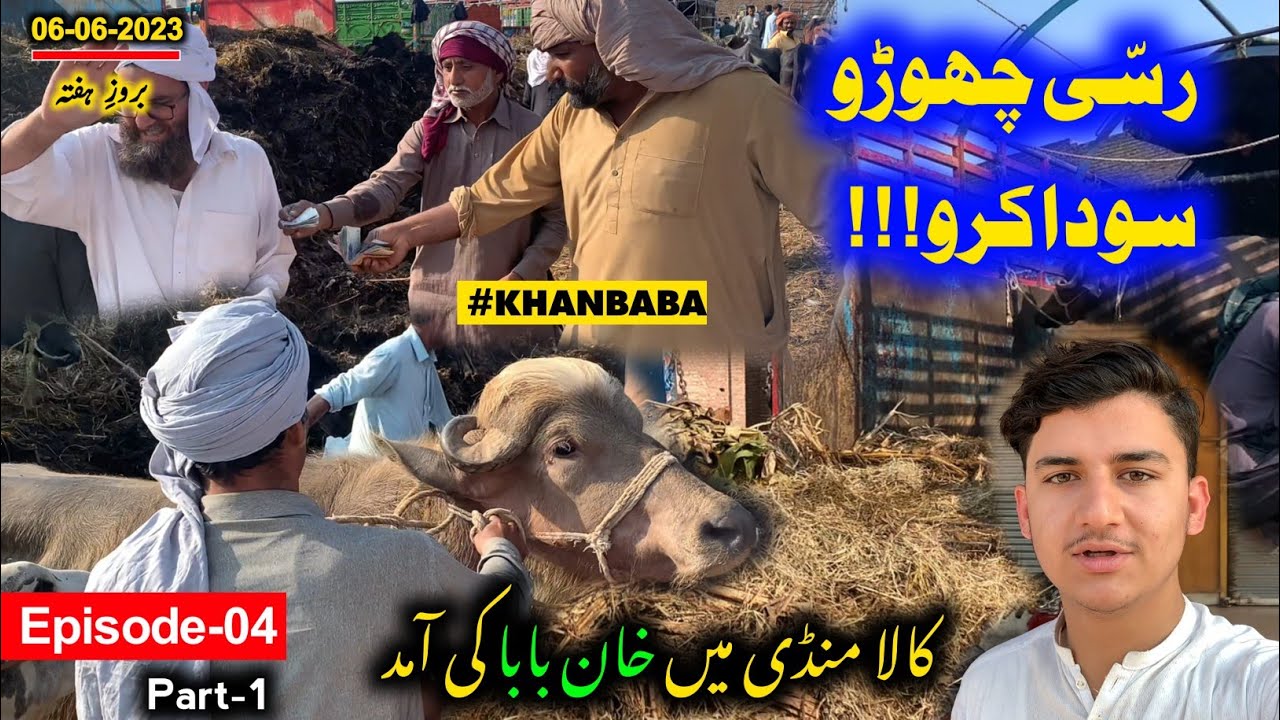 Kala Mandi Peshawar Trucks Unloading | GT Road Mandi Peshawar | MMP Epi-04 (Part-1)