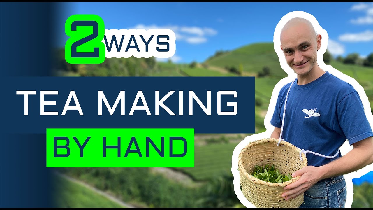 Two Methods To Make Kamairicha Green Tea By Hand