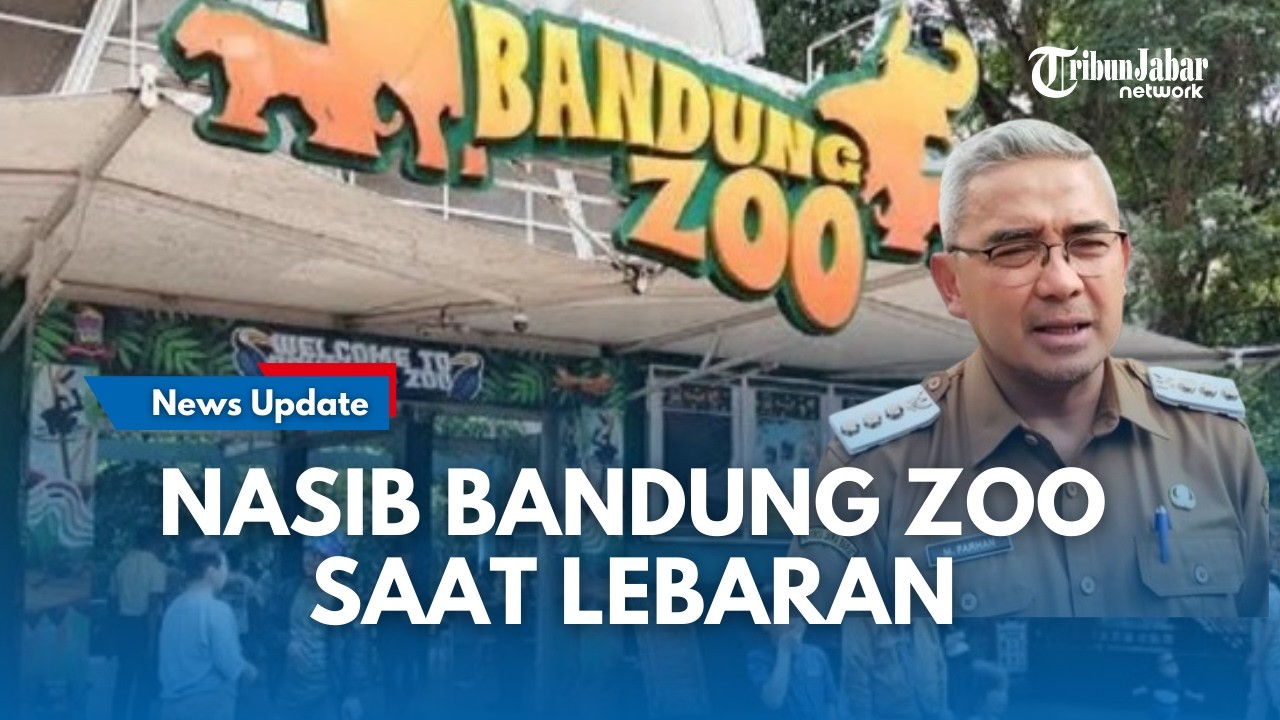 ALASAN KUAT Kang Farhan, Bandung Zoo Tutup Saat Lebaran, Izin Operasional Masih Dicabut