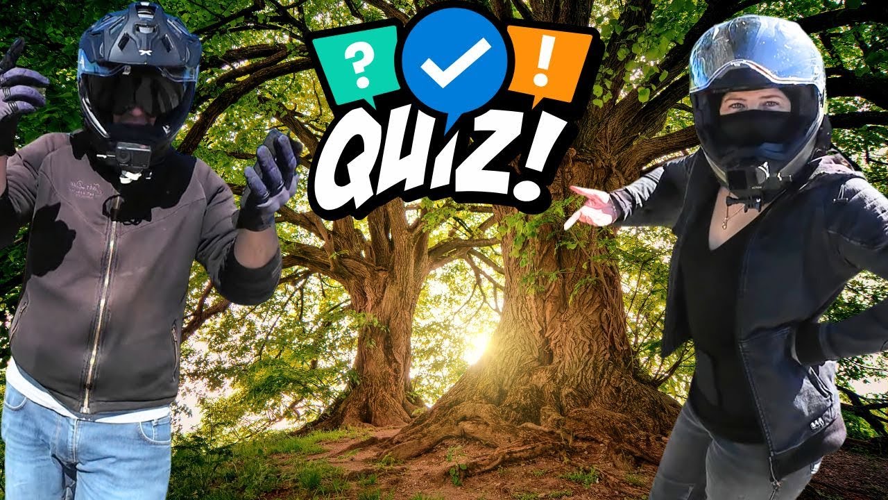 🤩Quiz Wer kennt mehr Bäume?!?🤩 (Motovlog #14)