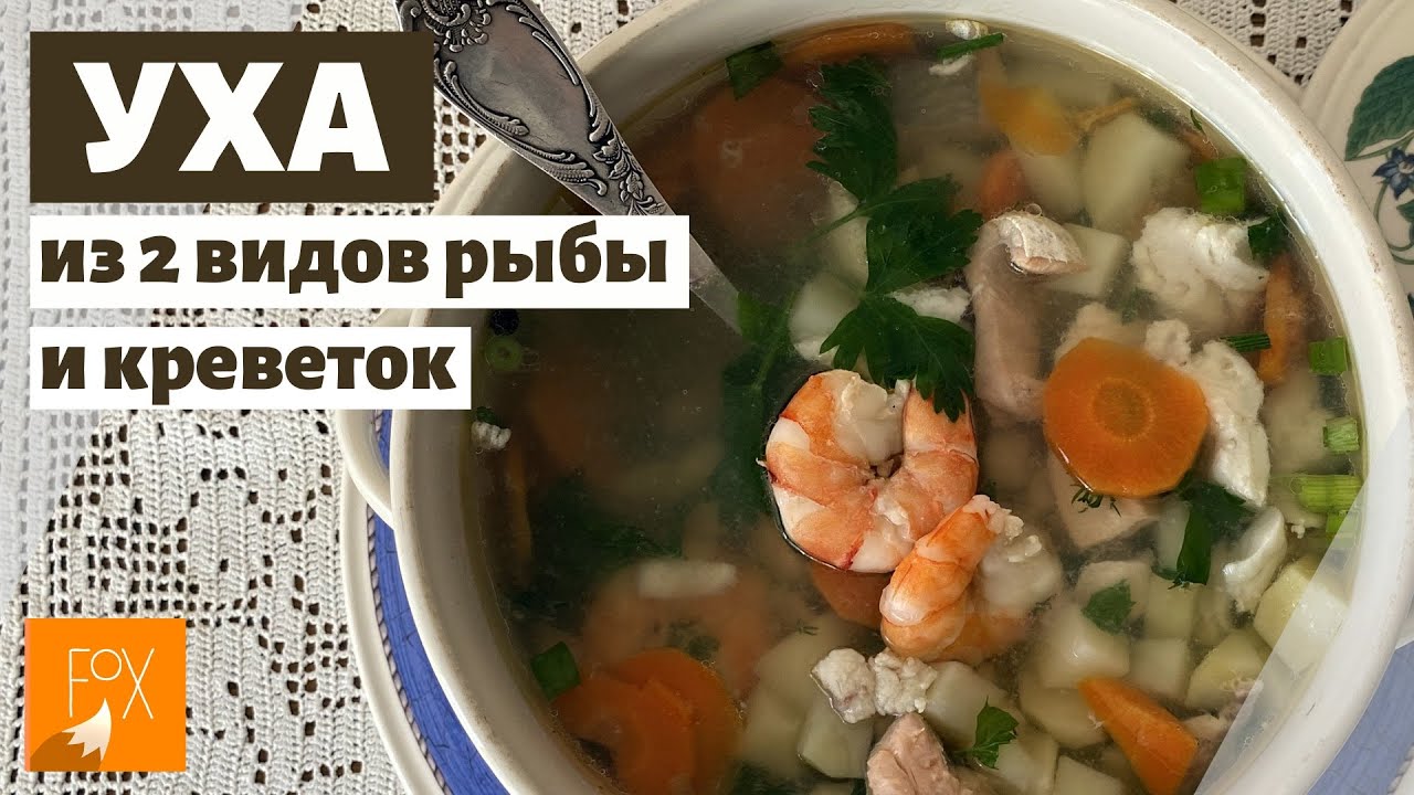Рыбный суп (уха) из белой и красной рыбы с креветками