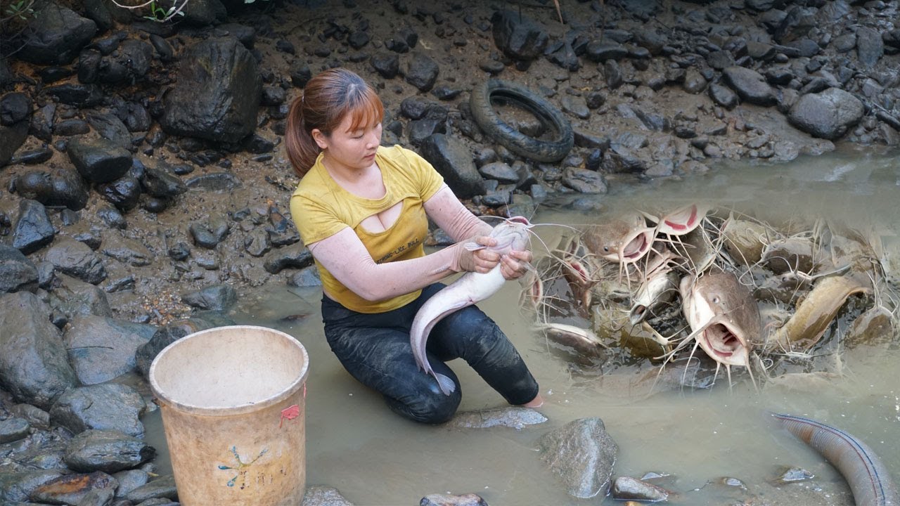 Modern technology harvests fish using water pumps that suck water out of the wild lake - Sell fish