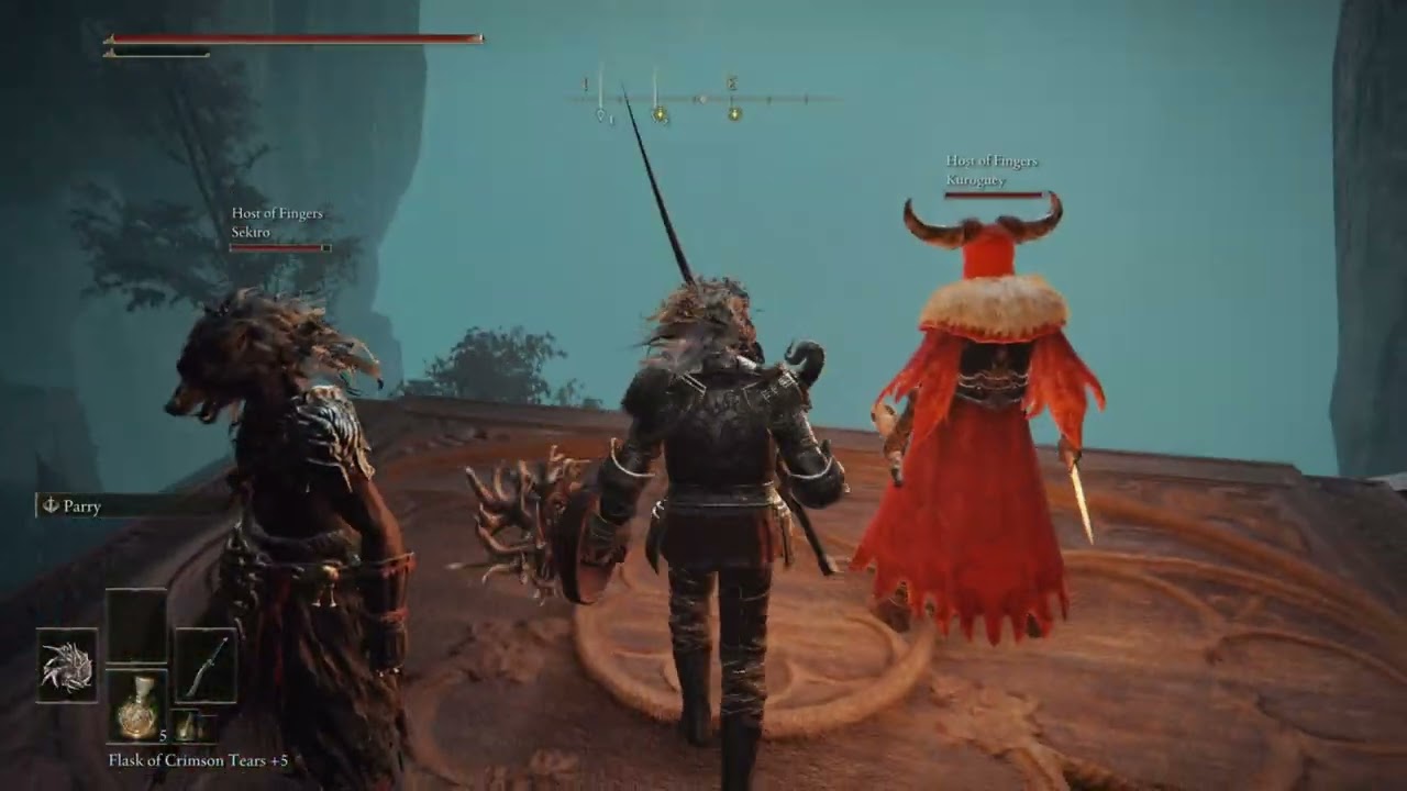 Cold Steel VS. Magic Elden Ring Seamless Co-op Part 15