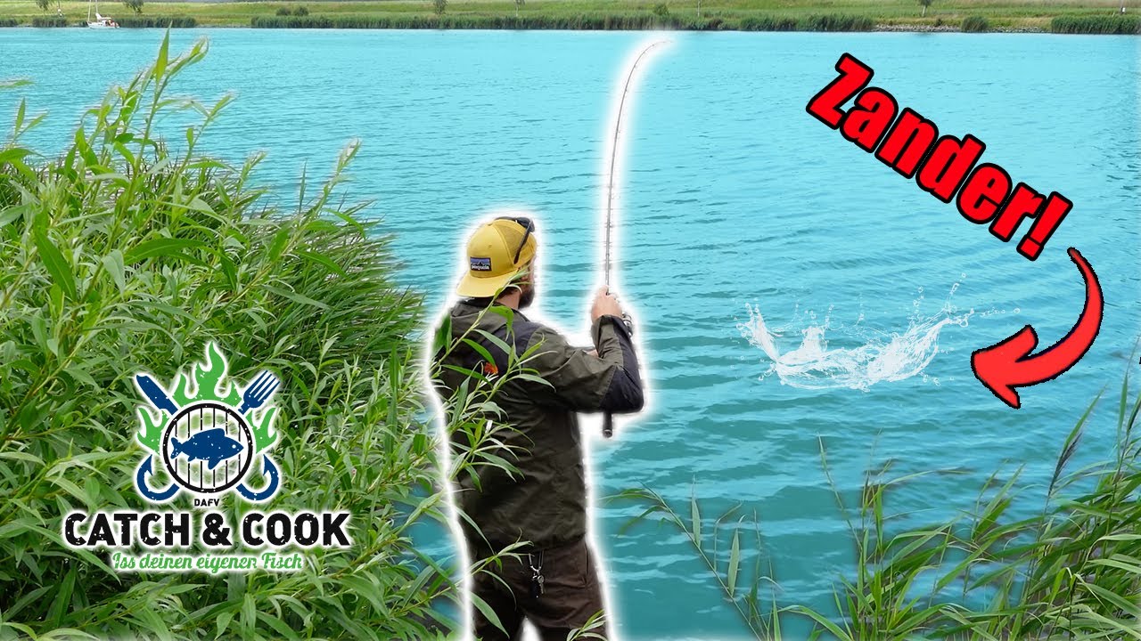 Das beste Zandergewässer in Deutschland! Angeln am Nord-Ostsee-Kanal inkl. Catch&Cook