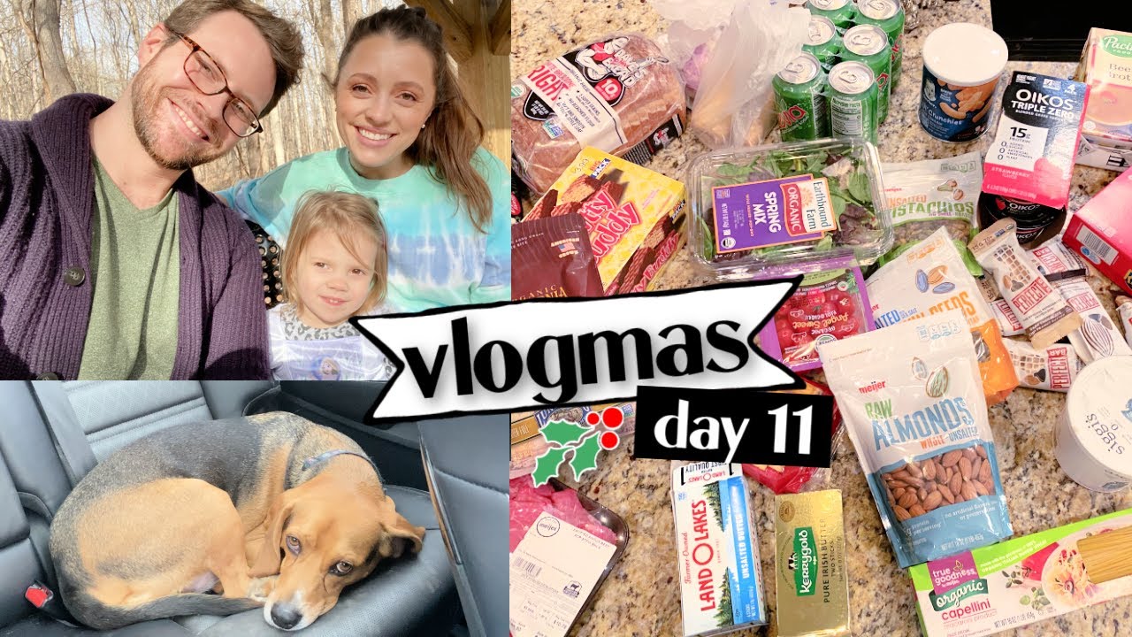 VLOGMAS DAY 11 // grocery haul, going to the park, that friggin weird sound