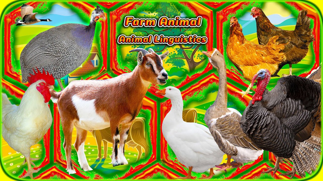 What Animal Makes That Sound? | Learn with Fun! 🎧 Animal Sounds • The Big Issue
