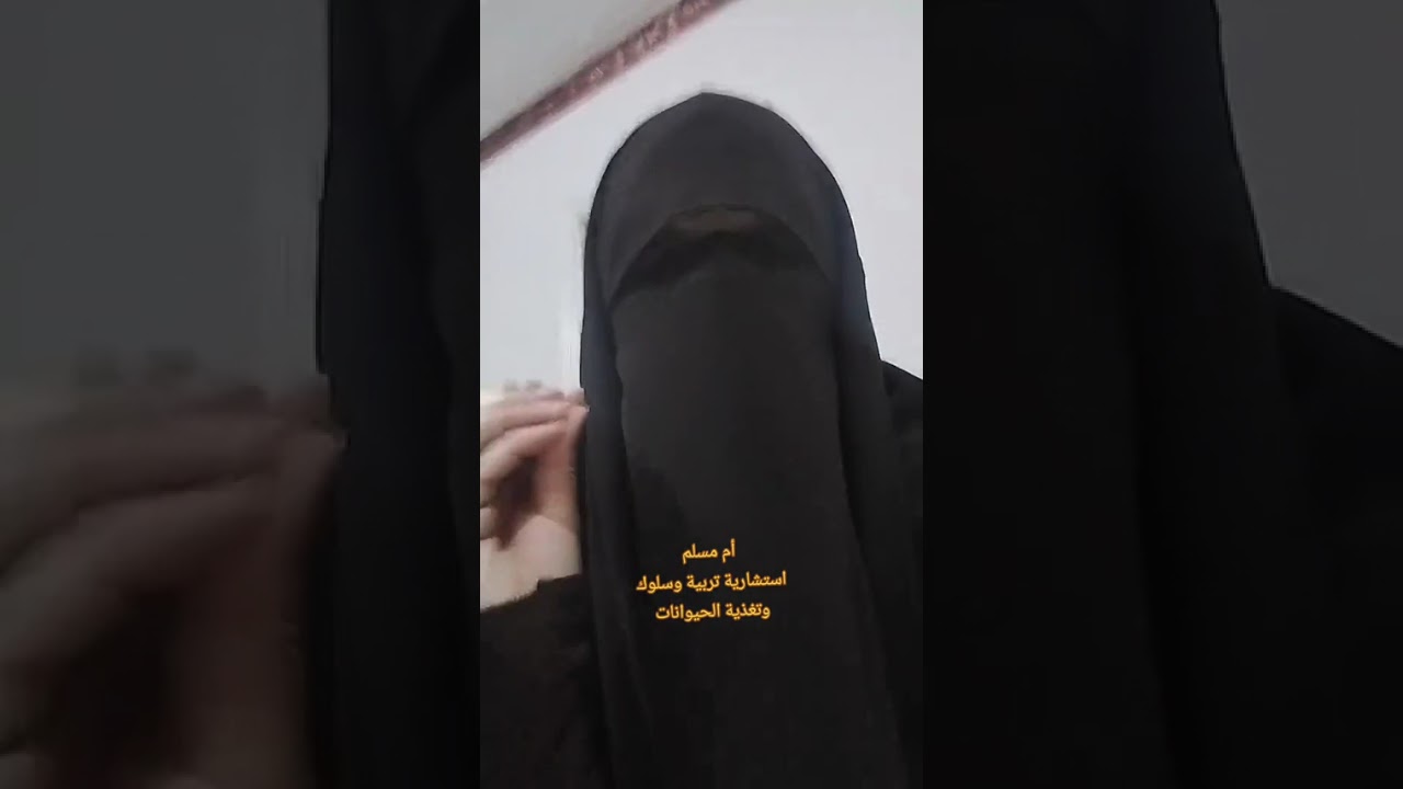 تغذية القطط والكلاب علي النظام الغذائي الني واهميته ومخاطره والشروط الواجب توافرها في #ommuslimpets 