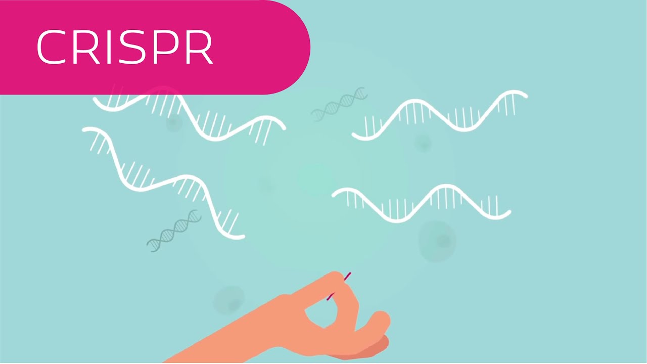 CRISPR in 4 Minuten erkl&auml;rt