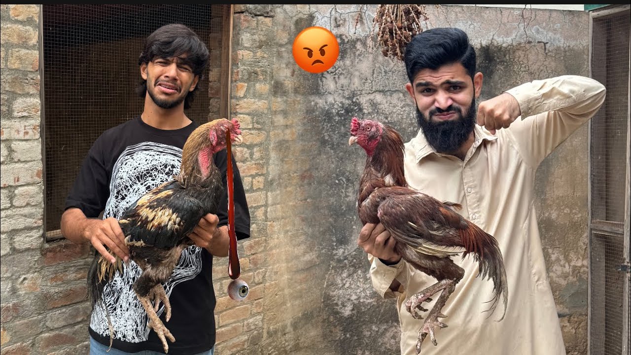 Shaka ki ankh 😭 DSP na kia kr dia 🤬