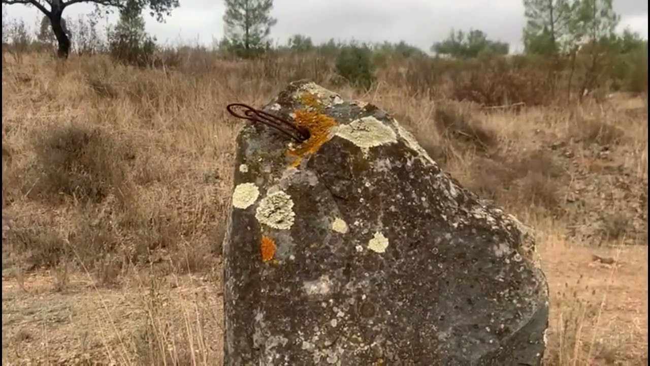 PR7 / PNV - São Pedro do Esteval