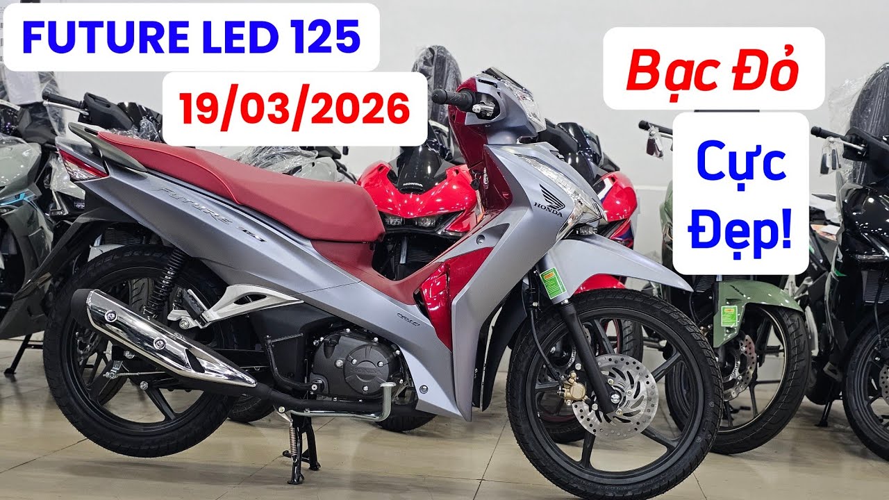 Báo giá FUTURE LED 125 mới nhất ngày 19/03/26 tại head Huỳnh Bạch Tùng. Thái Phạm #future #125 #xe