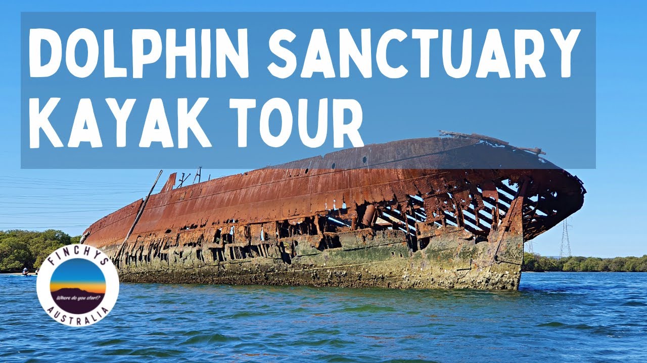 Dolphin Sanctuary Kayak Tour | Adelaide