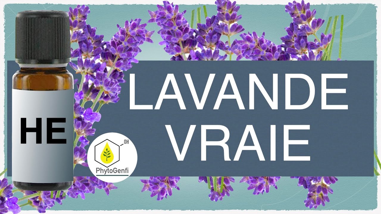 L’huile essentielle de lavande vraie