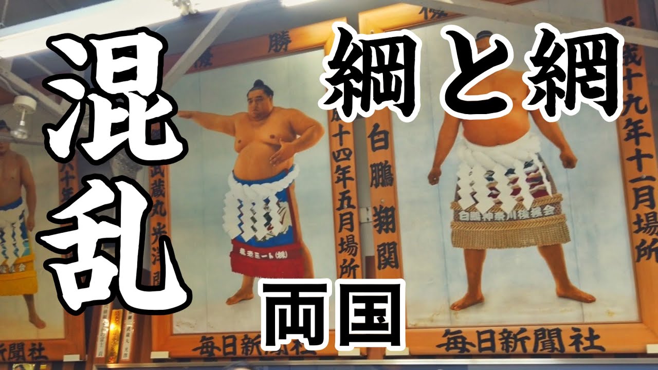 【両国】相撲の聖地で横綱と横網に惑わされる　～東京都墨田区～　Tokyo City Walk Ryogoku