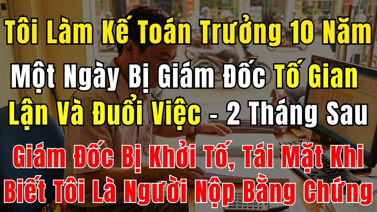Tôi Làm Kế Toán Trưởng 10 Năm, Một Ngày Bị Giám Đốc Tố Gian Lận Và Đuổi Việc – 2 Tháng Sau, Giám Đốc