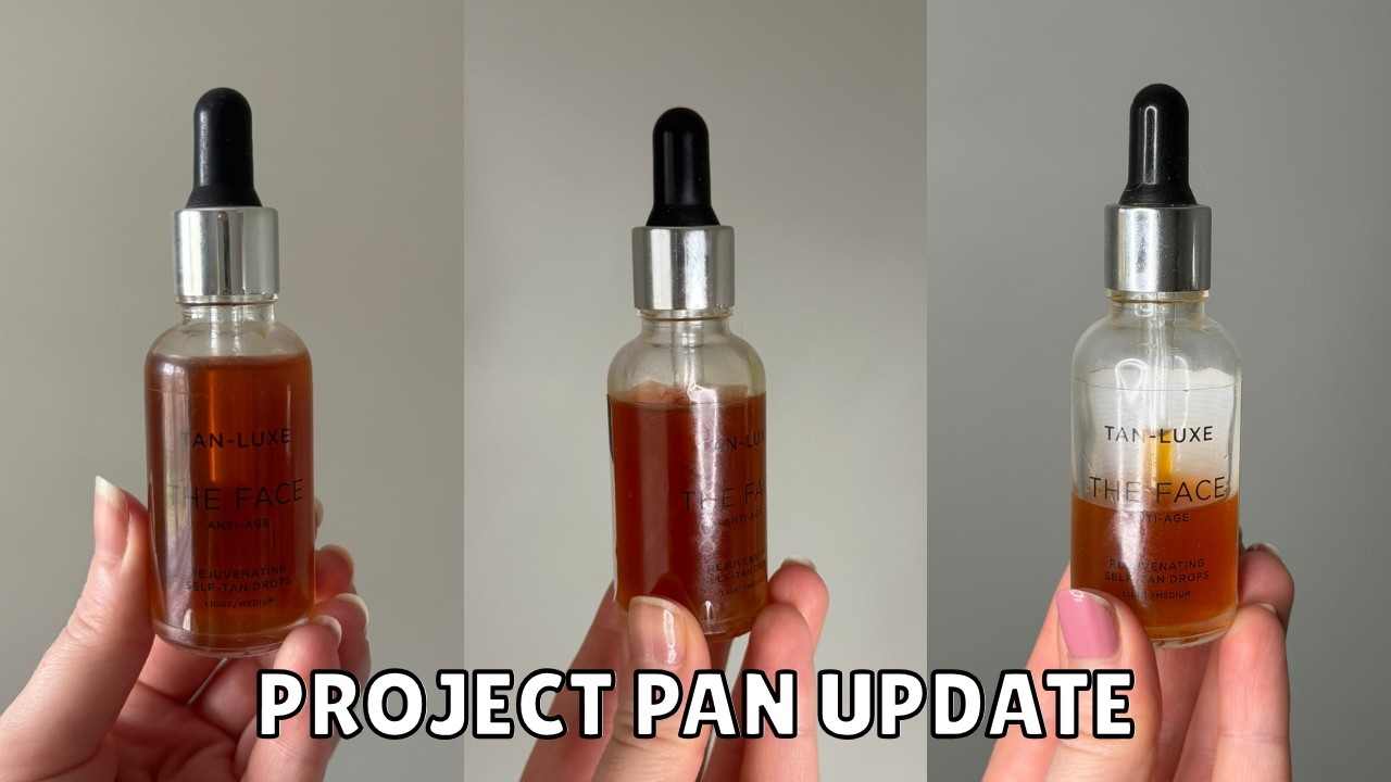 Второе обновление проекта Pan 2026!