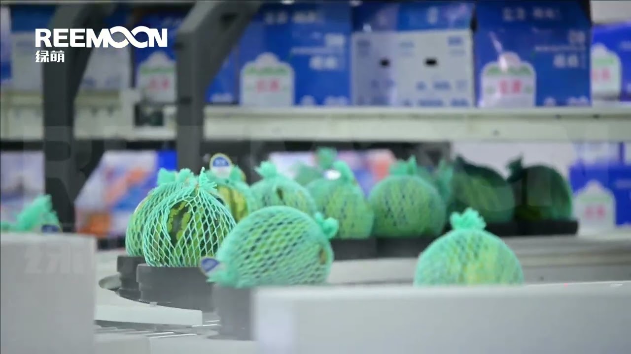 Reemoon Water Melon Sorting Tech