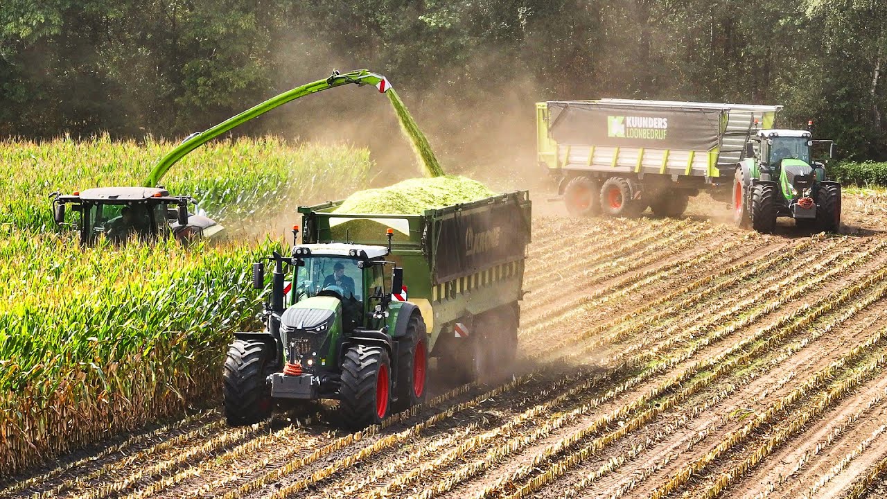 Mais 2025 | Claas Jaguar 980 + 12 Rows | 2x Fendt 930 Vario | Kuunders