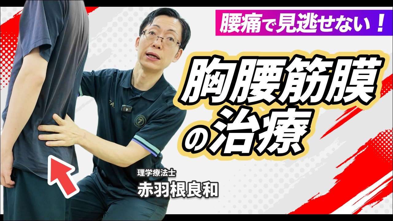 【腰痛】胸腰筋膜とモーターコントロールで攻める！