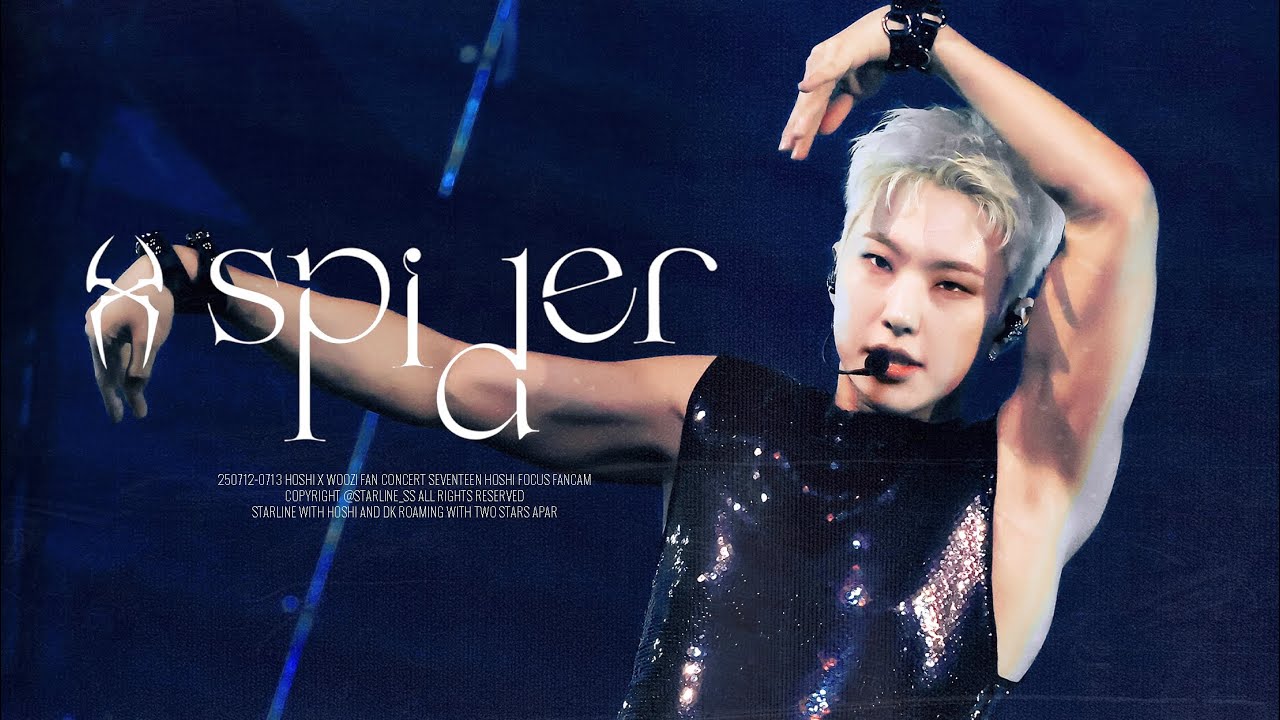 [4K] 250712-0713 HxW WARNING CONCERT - SPIDER - 호시 HOSHI Focus 직캠(2-Multi ver.)