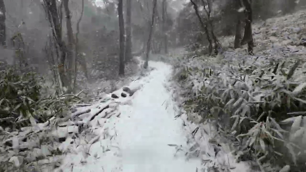 雪道散歩：岡本八幡谷→横池