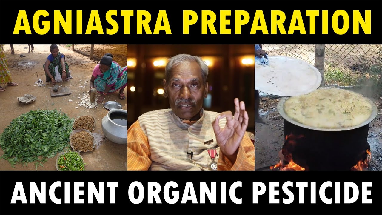 AGNIASTRA Preparation Method | Subhash Palekar Natural Farming (SBNF) | Ancient Organic Pesticide