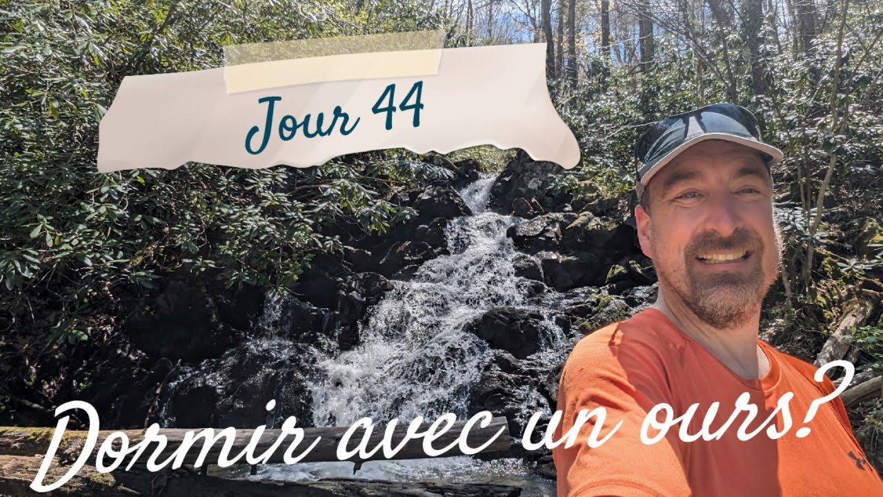 Jour 44 👣🌳⛺️ Dormir avec un ours? - Appalachian Trail 2024