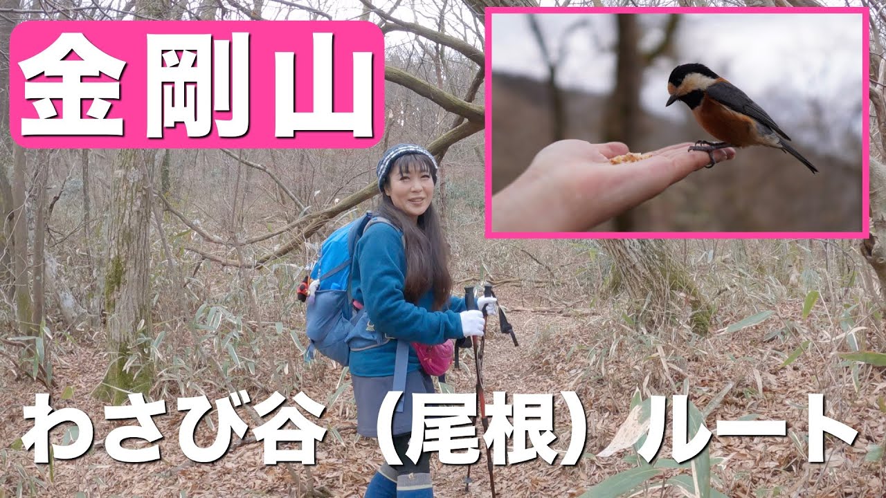 【Heppoko Climbing】Японские горы.пеший туризм.Альпинизм.