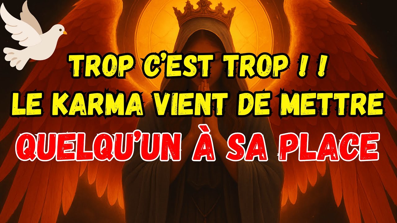 ÉLU(E), ILS VOUS PRENAIENT POUR UNE BLAGUE… JUSQU’À CE QUE LE KARMA DÉBARQUE 😤😈