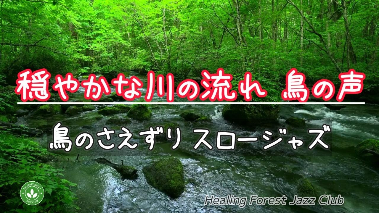 【癒しBGM】癒しの森でリラックス ＃559 / 穏やかな川の流れ / 鳥のさえずり / スロージャズ