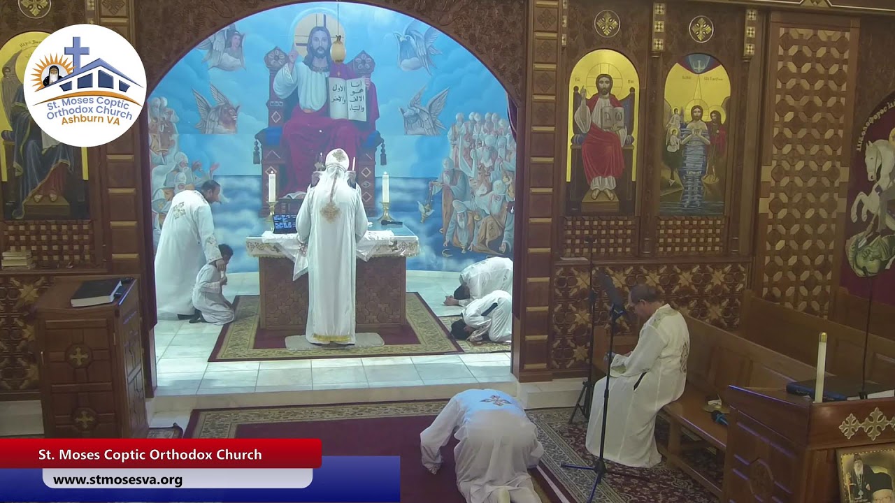 Live from St.Moses